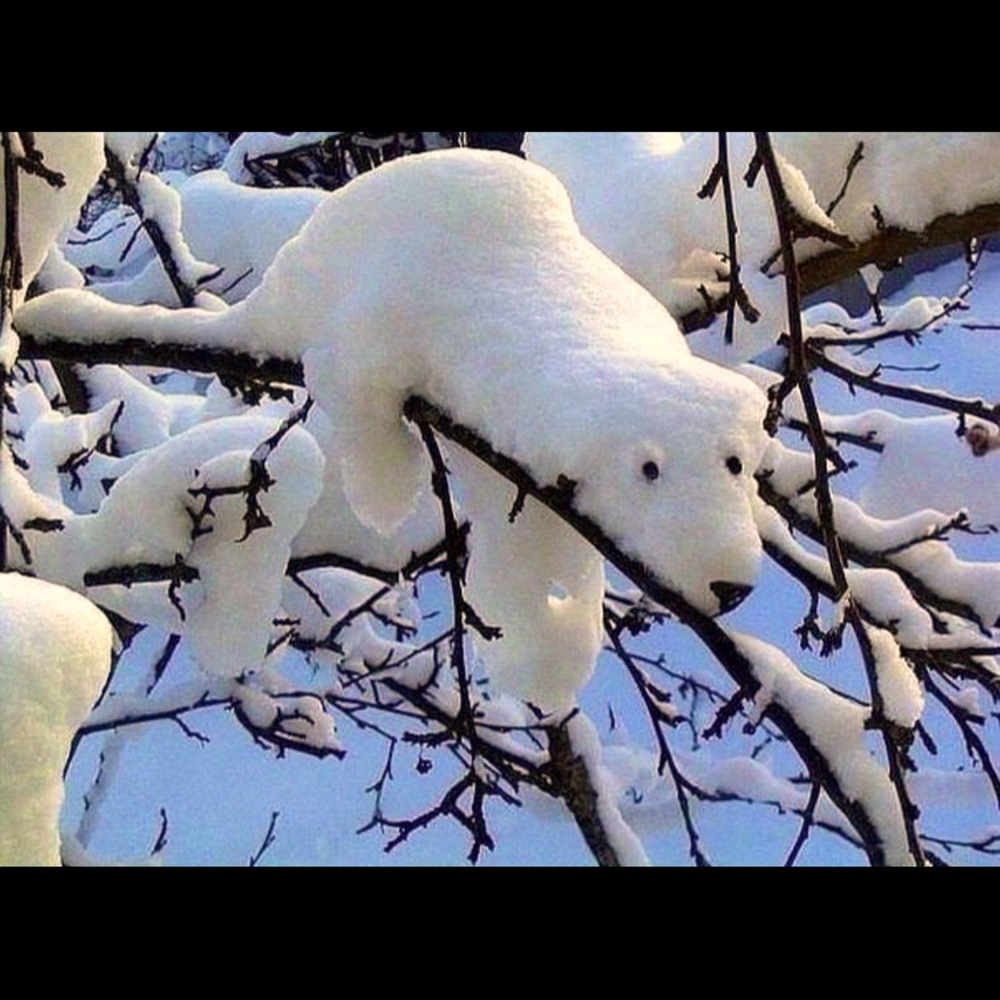 Meet your Posher, Ava